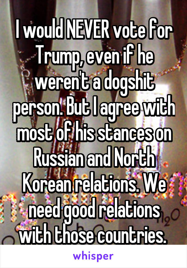 I would NEVER vote for Trump, even if he weren't a dogshit person. But I agree with most of his stances on Russian and North Korean relations. We need good relations with those countries. 