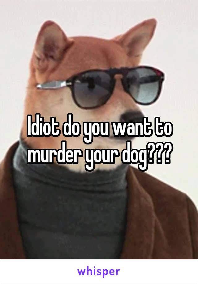 Idiot do you want to murder your dog???