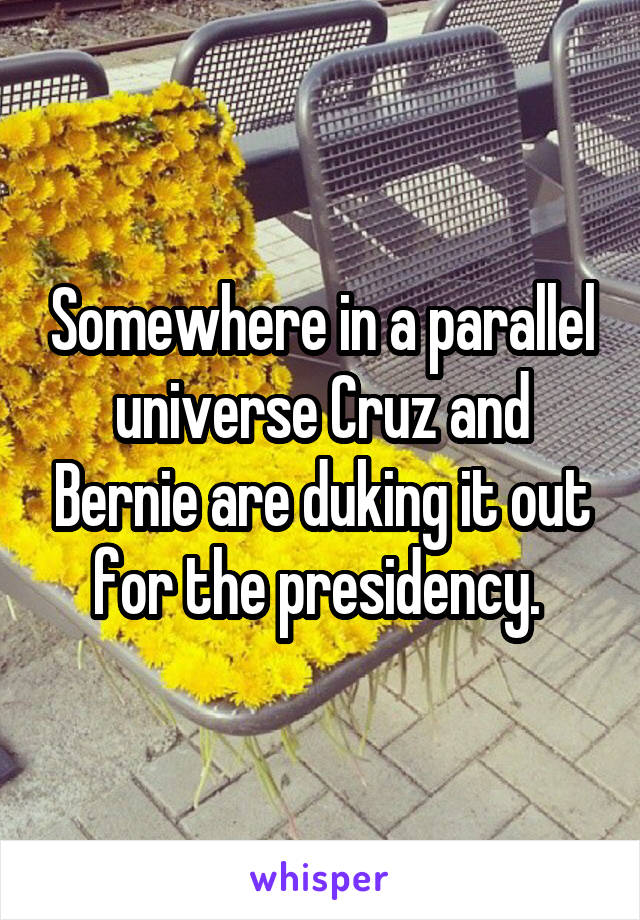 Somewhere in a parallel universe Cruz and Bernie are duking it out for the presidency. 