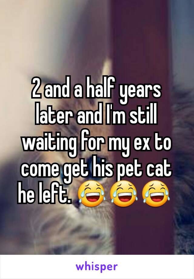 2 and a half years later and I'm still waiting for my ex to come get his pet cat he left. 😂😂😂 