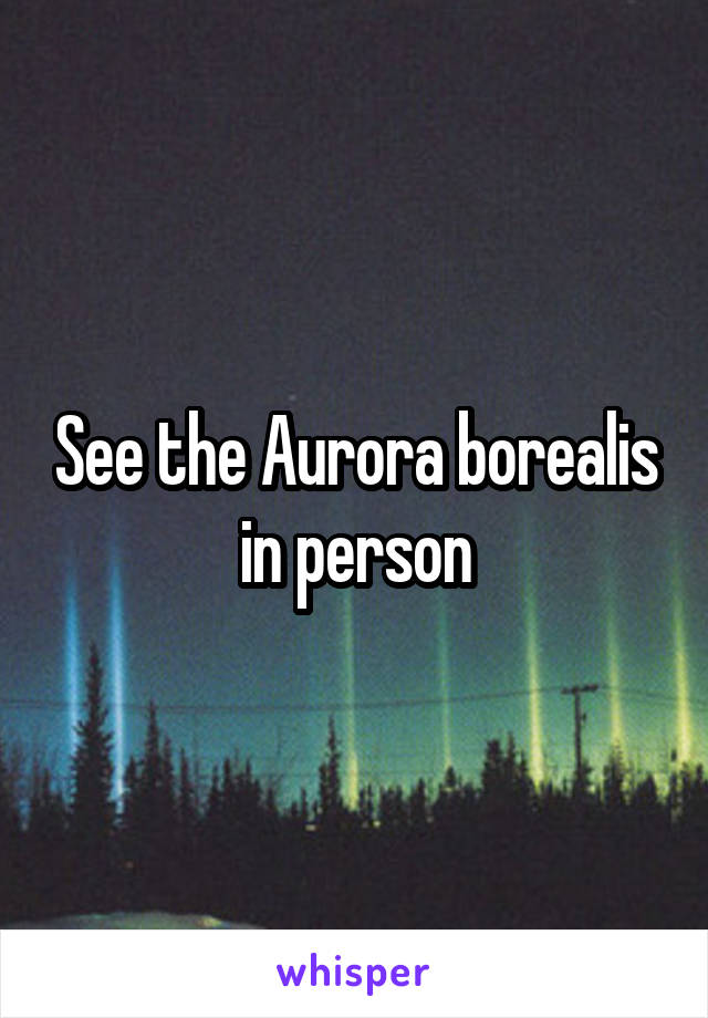 See the Aurora borealis in person