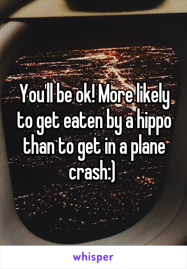 You'll be ok! More likely to get eaten by a hippo than to get in a plane crash:) 