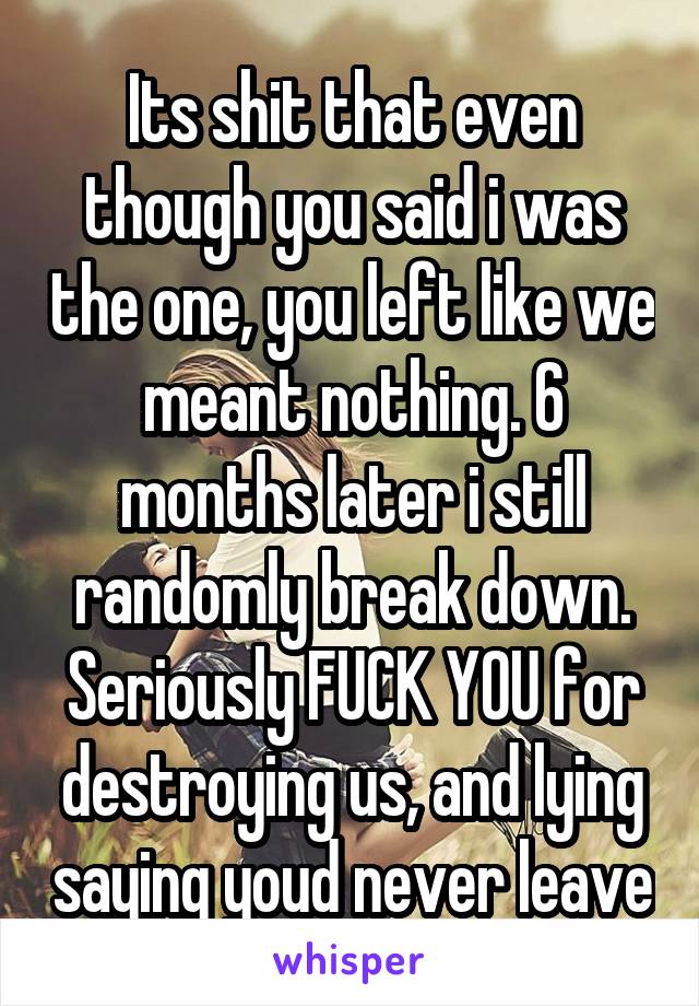 Its shit that even though you said i was the one, you left like we meant nothing. 6 months later i still randomly break down. Seriously FUCK YOU for destroying us, and lying saying youd never leave