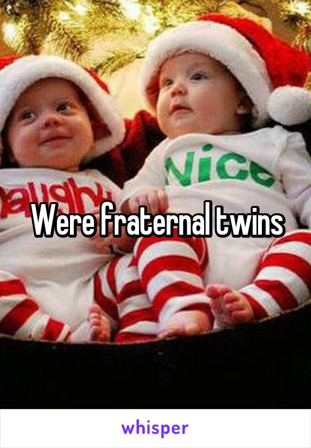 Were fraternal twins
