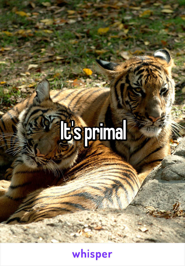 It's primal