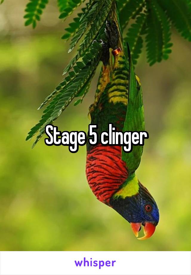 Stage 5 clinger