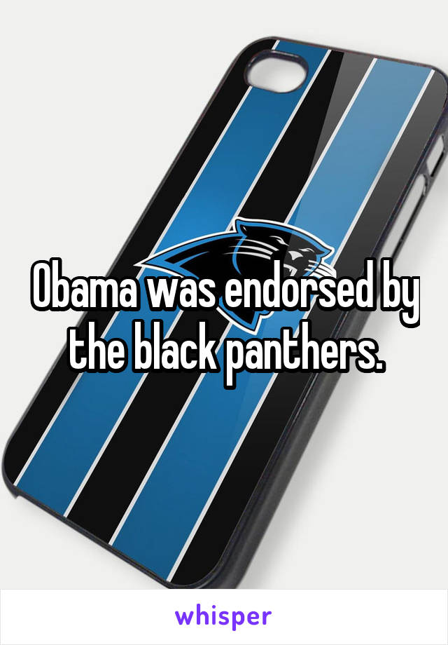 Obama was endorsed by the black panthers.
