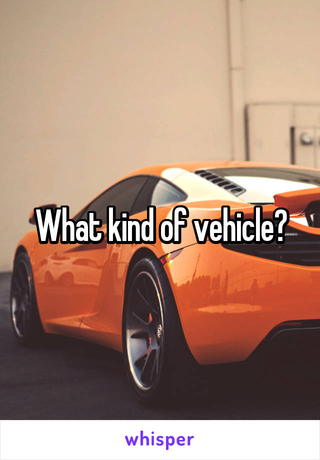 What kind of vehicle?