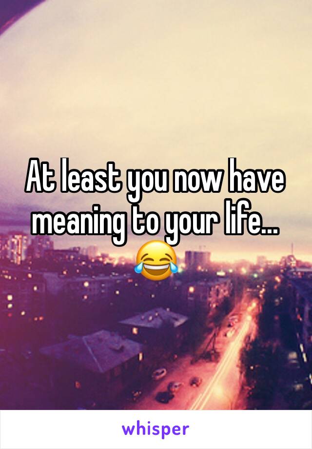 At least you now have meaning to your life...  😂