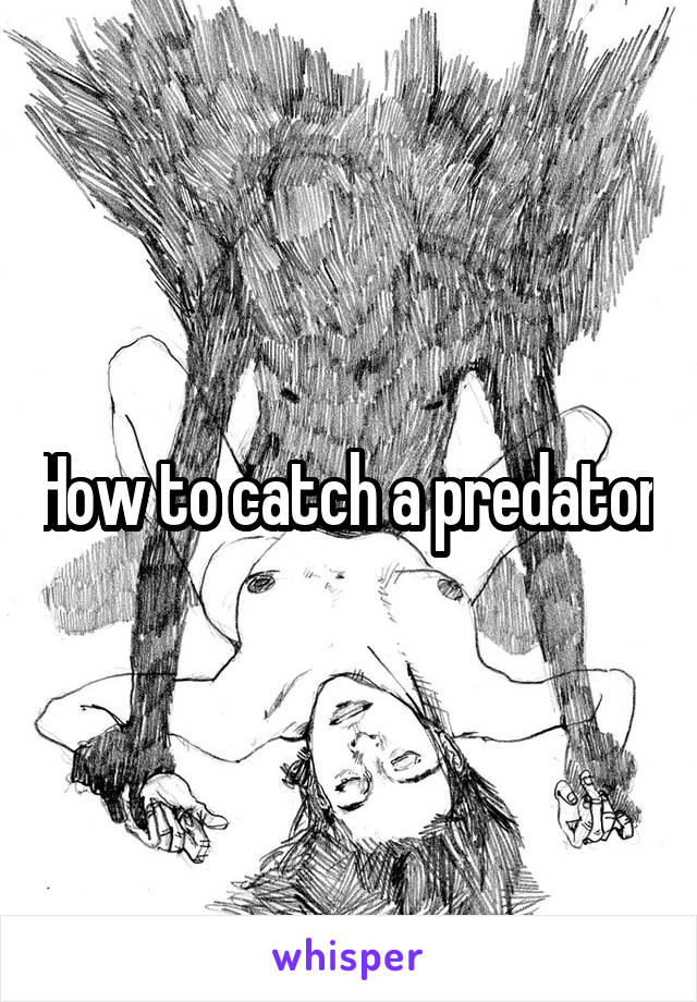 How to catch a predator