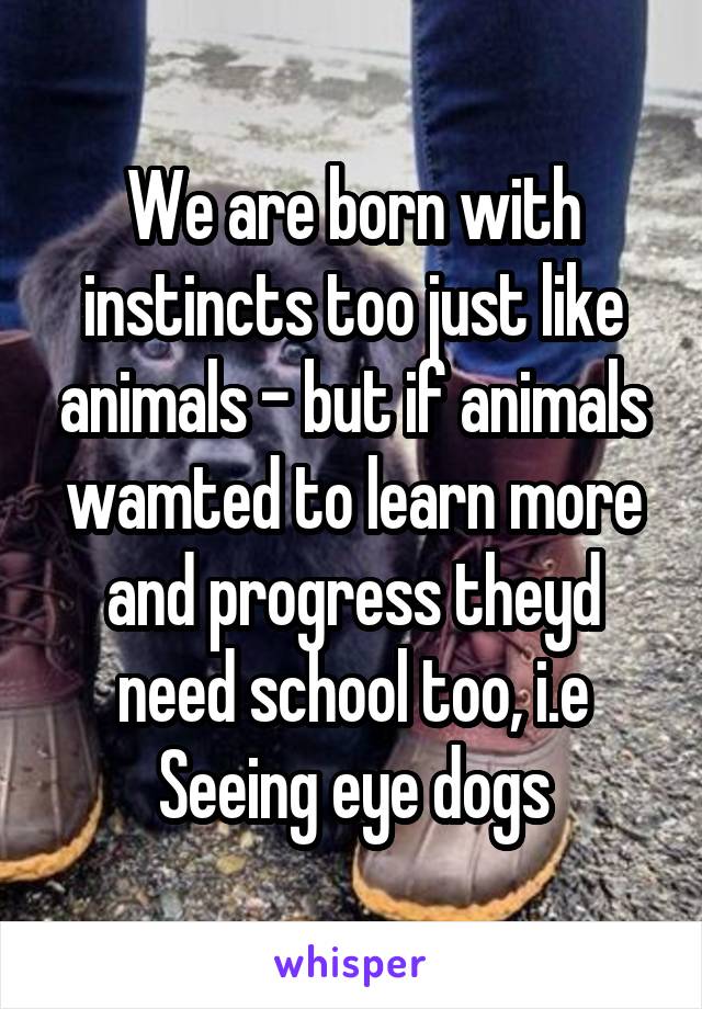 We are born with instincts too just like animals - but if animals wamted to learn more and progress theyd need school too, i.e Seeing eye dogs