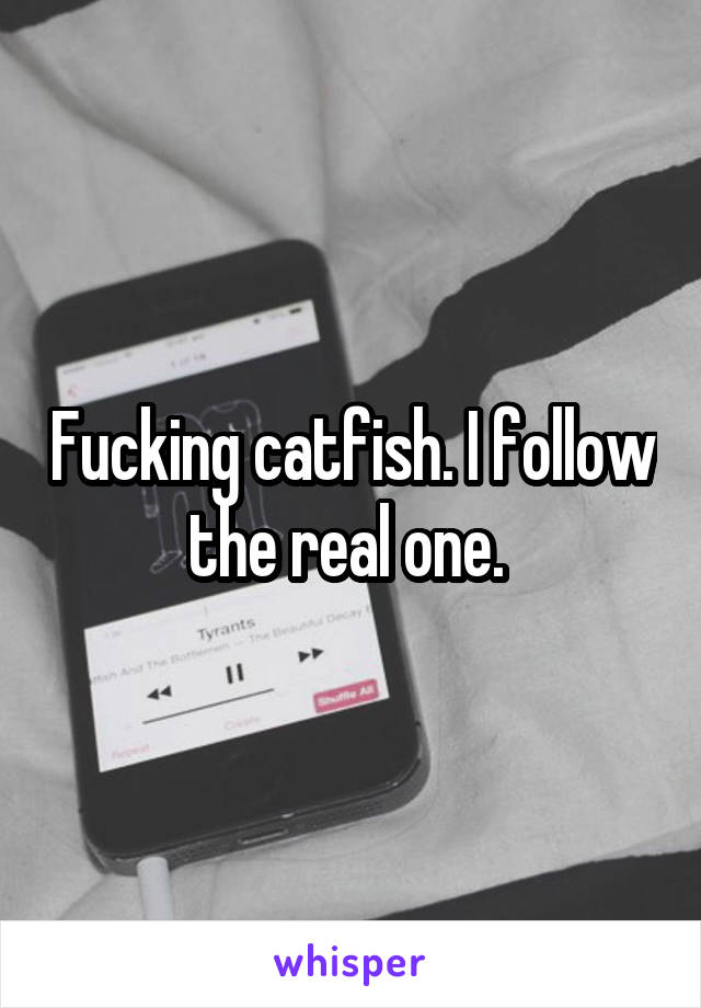 Fucking catfish. I follow the real one. 