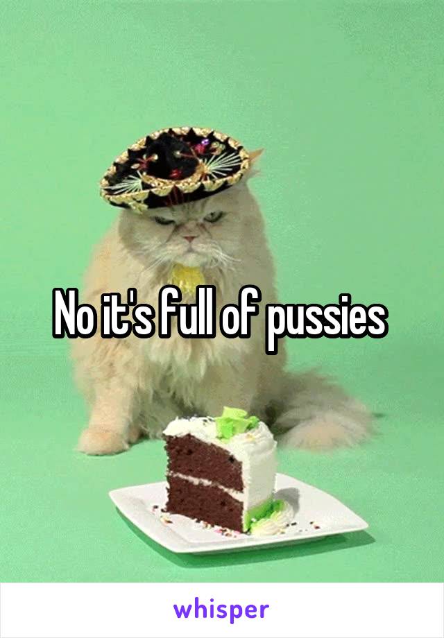 No it's full of pussies 