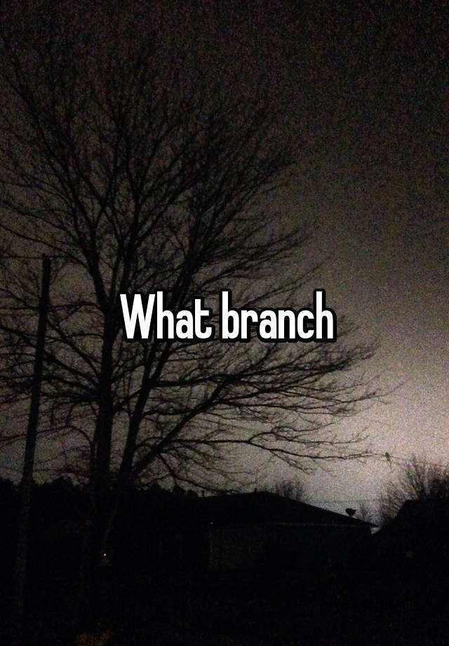 what-branch