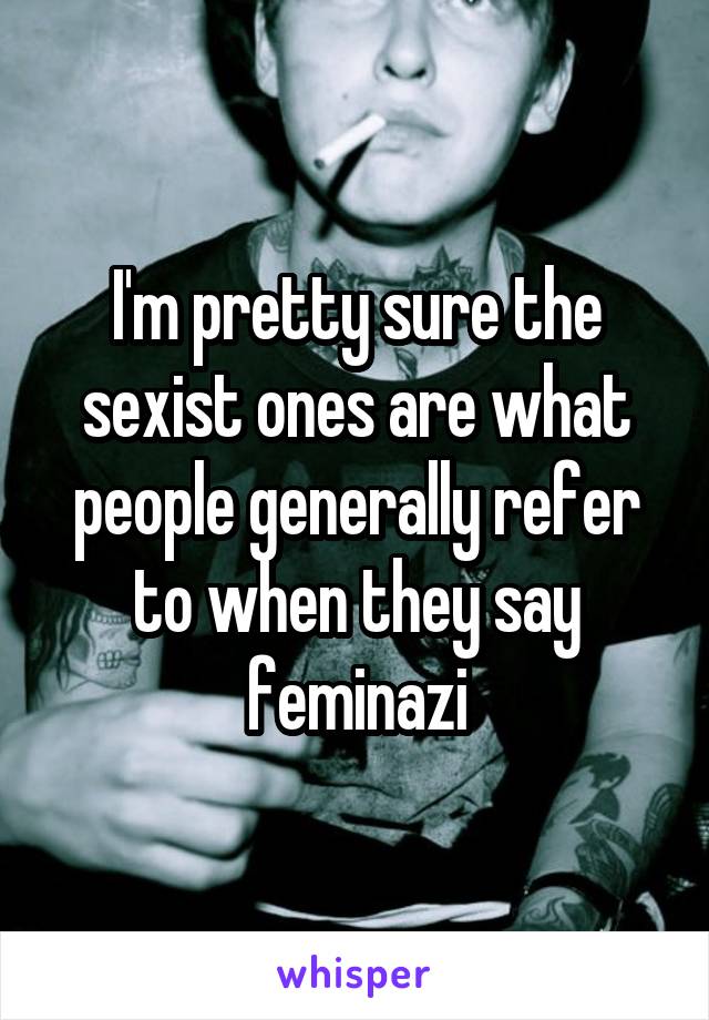 I'm pretty sure the sexist ones are what people generally refer to when they say feminazi