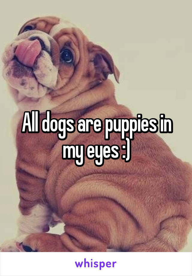 All dogs are puppies in my eyes :)