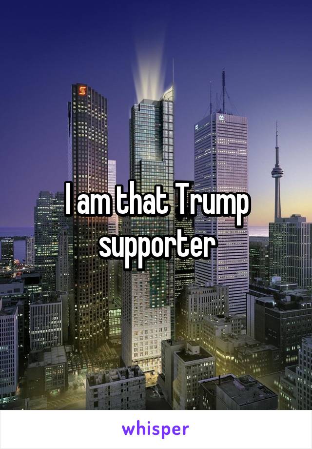 I am that Trump supporter