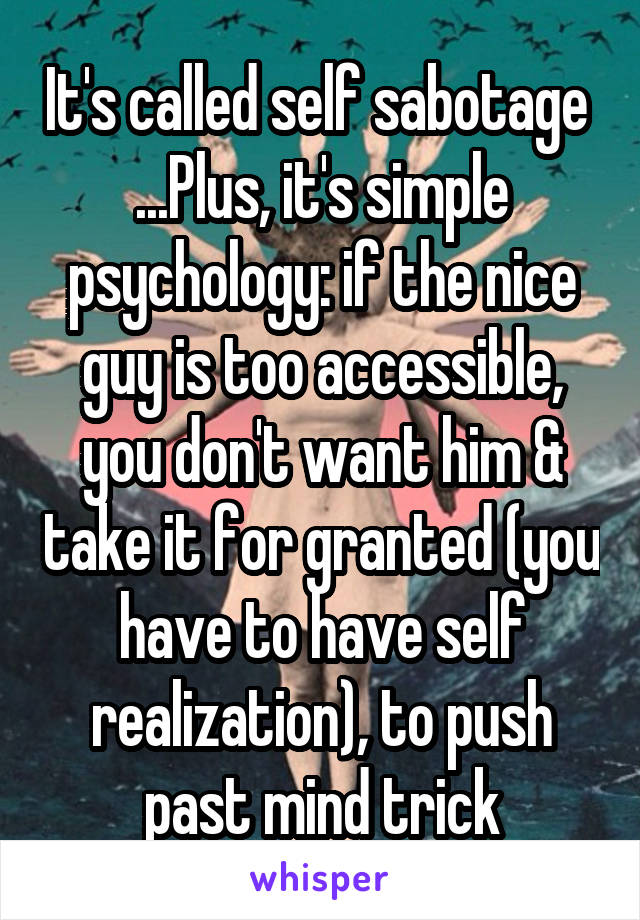 It's called self sabotage 
...Plus, it's simple psychology: if the nice guy is too accessible, you don't want him & take it for granted (you have to have self realization), to push past mind trick