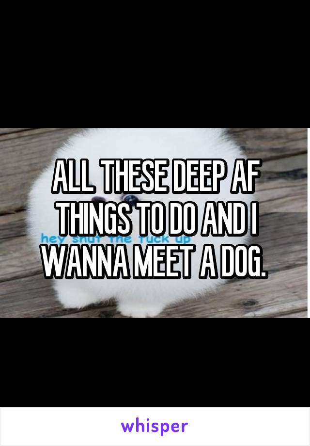 ALL THESE DEEP AF THINGS TO DO AND I WANNA MEET A DOG. 