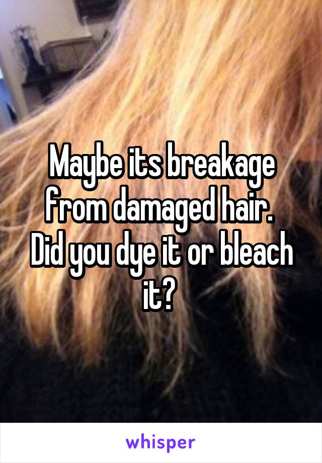 Maybe its breakage from damaged hair. 
Did you dye it or bleach it? 