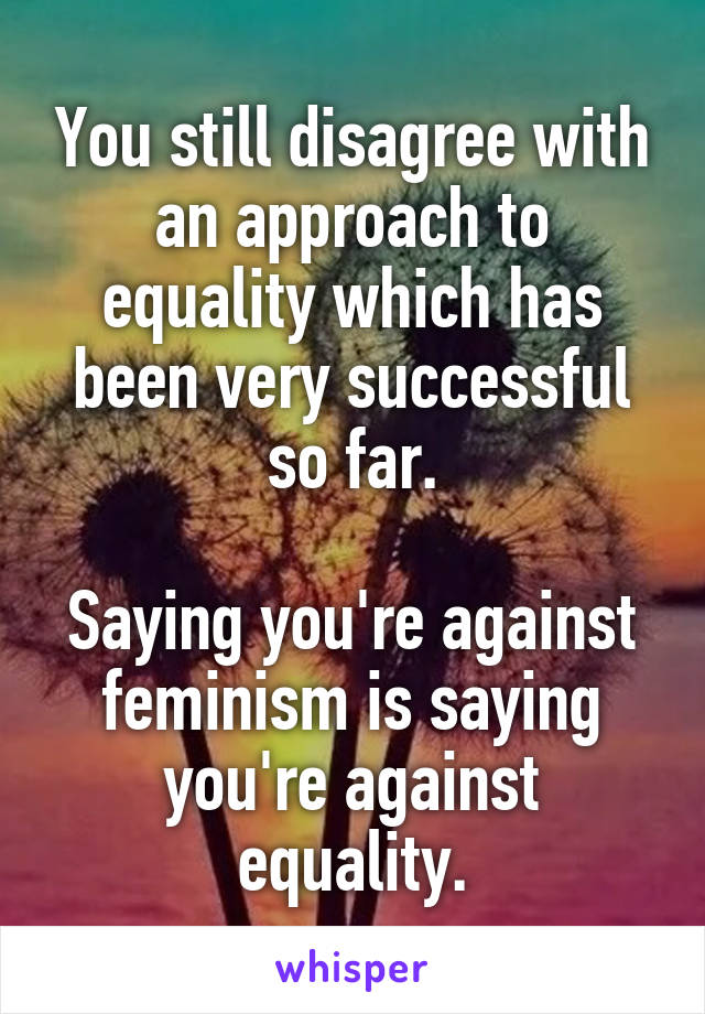 You still disagree with an approach to equality which has been very successful so far.

Saying you're against feminism is saying you're against equality.