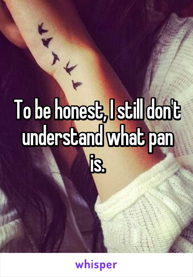 To be honest, I still don't understand what pan is.