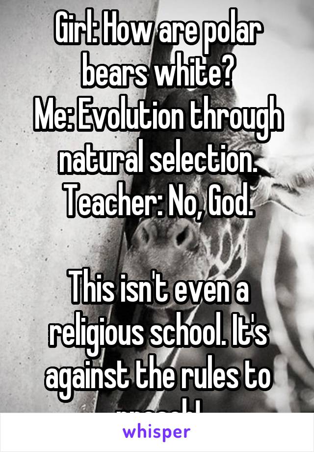 Girl: How are polar bears white?
Me: Evolution through natural selection.
Teacher: No, God.

This isn't even a religious school. It's against the rules to preach!