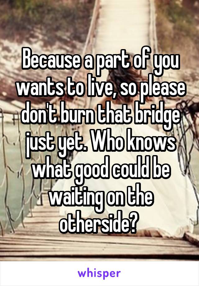 Because a part of you wants to live, so please don't burn that bridge just yet. Who knows what good could be waiting on the otherside? 