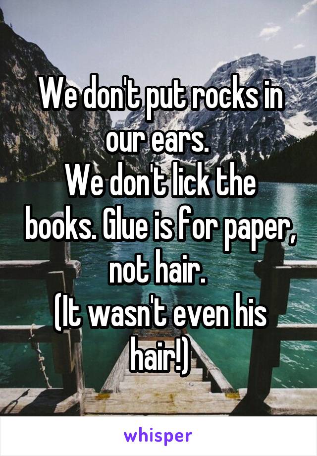 We don't put rocks in our ears. 
We don't lick the books. Glue is for paper, not hair. 
(It wasn't even his hair!)