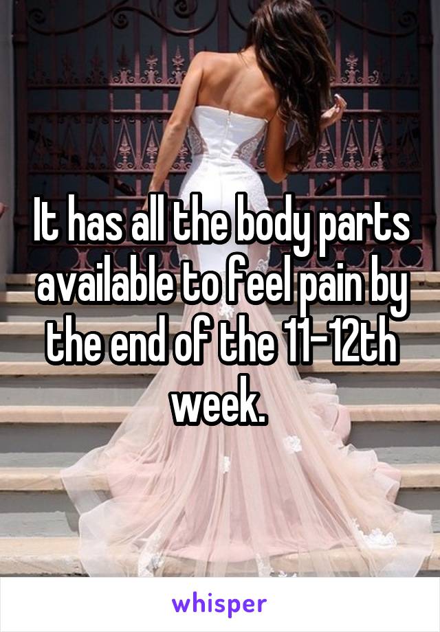 It has all the body parts available to feel pain by the end of the 11-12th week. 