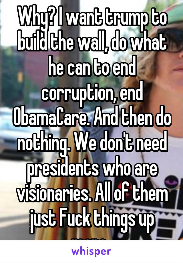 Why? I want trump to build the wall, do what he can to end corruption, end ObamaCare. And then do nothing. We don't need presidents who are visionaries. All of them just Fuck things up more. 