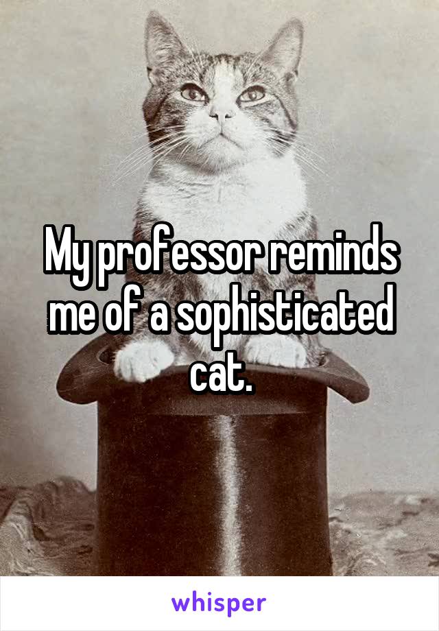 My professor reminds me of a sophisticated cat.