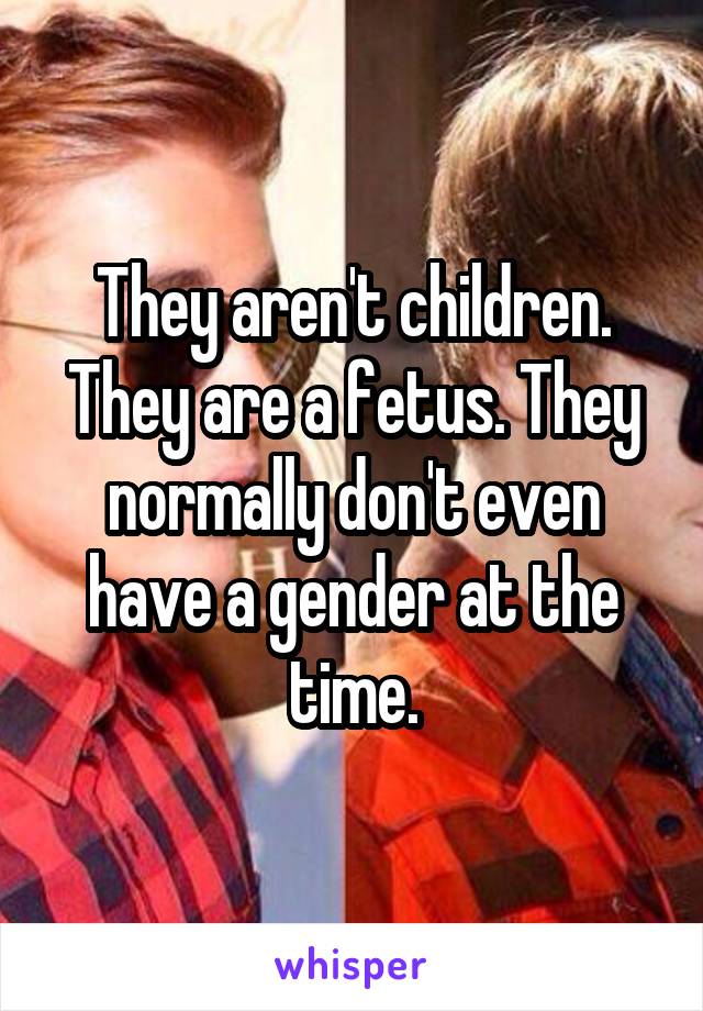 They aren't children. They are a fetus. They normally don't even have a gender at the time.