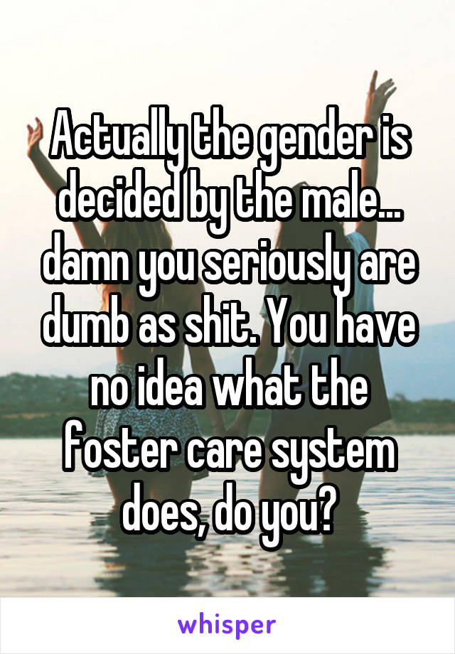 Actually the gender is decided by the male... damn you seriously are dumb as shit. You have no idea what the foster care system does, do you?