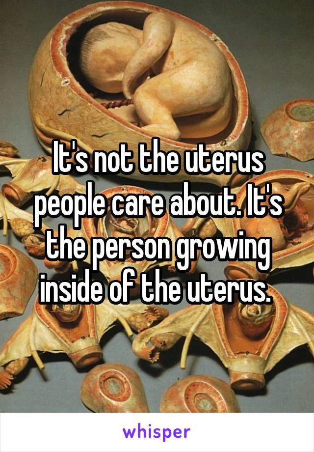 It's not the uterus people care about. It's the person growing inside of the uterus. 