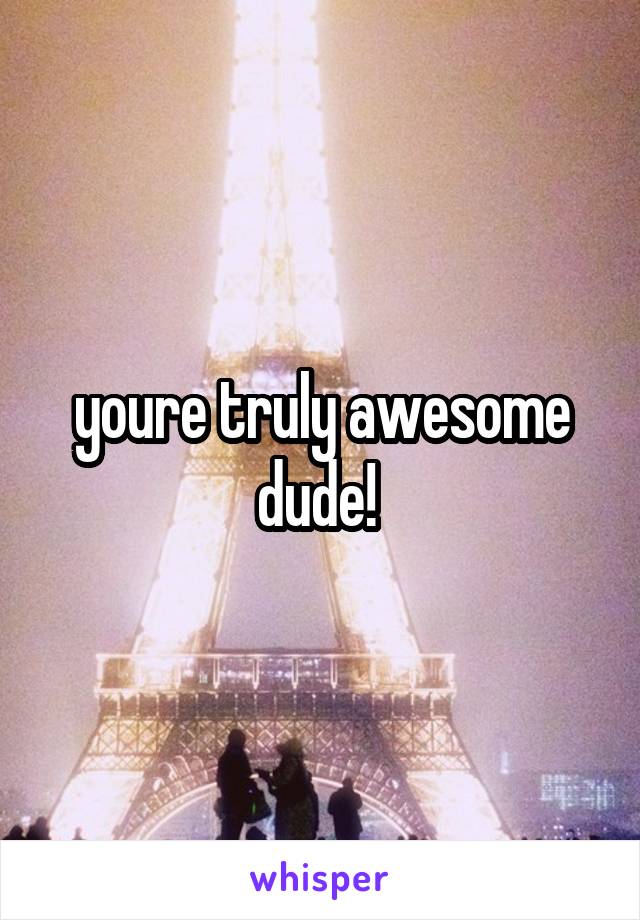 youre truly awesome dude! 