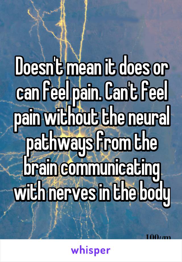 Doesn't mean it does or can feel pain. Can't feel pain without the neural pathways from the brain communicating with nerves in the body