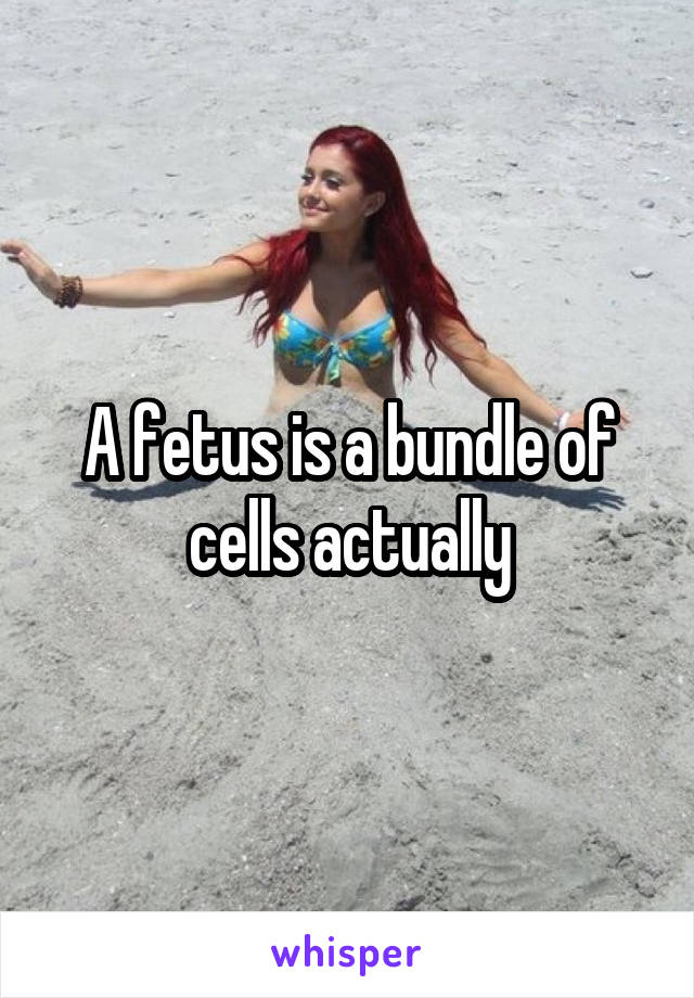 A fetus is a bundle of cells actually