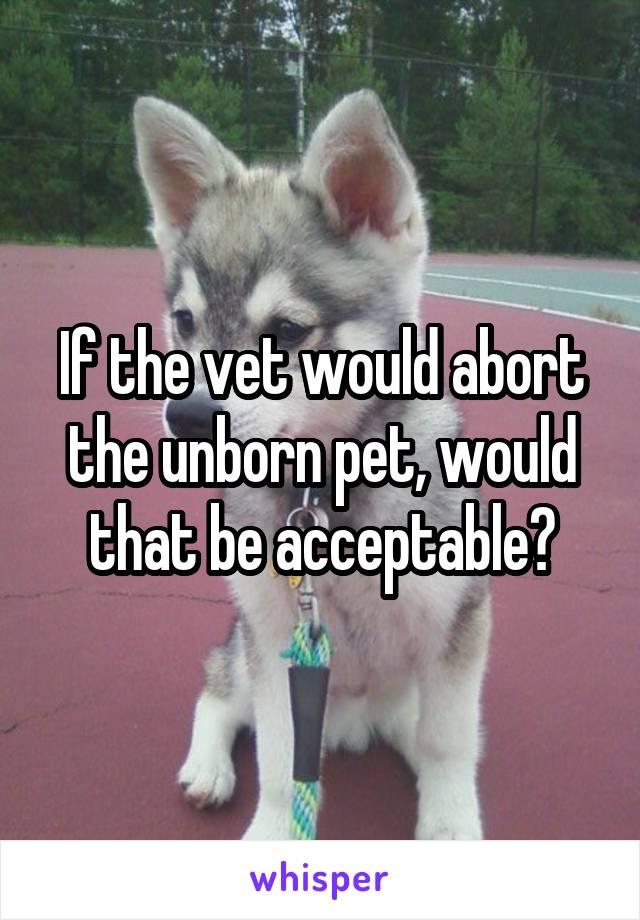 If the vet would abort the unborn pet, would that be acceptable?