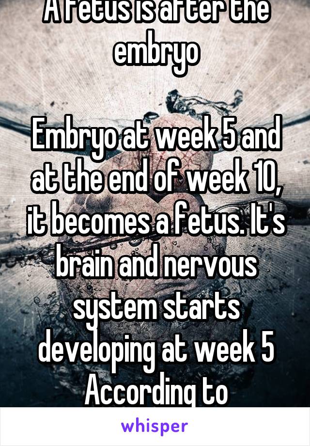 A fetus is after the embryo

Embryo at week 5 and at the end of week 10, it becomes a fetus. It's brain and nervous system starts developing at week 5
According to MedlinePlus