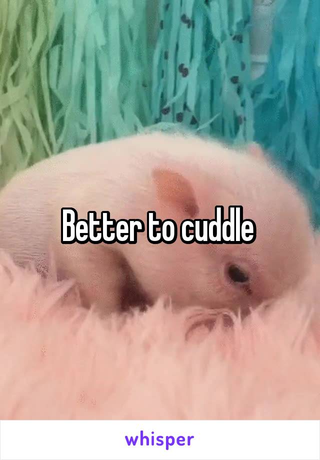 Better to cuddle 