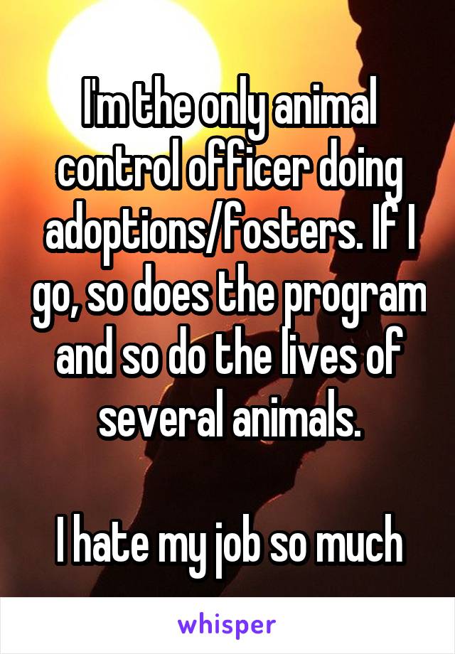 I'm the only animal control officer doing adoptions/fosters. If I go, so does the program and so do the lives of several animals.

I hate my job so much