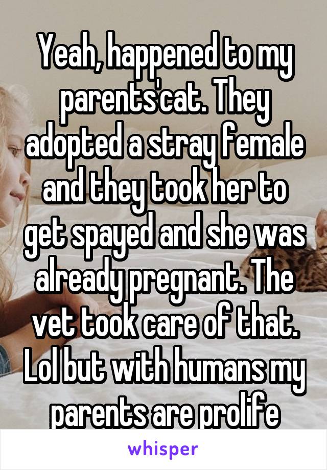 Yeah, happened to my parents'cat. They adopted a stray female and they took her to get spayed and she was already pregnant. The vet took care of that. Lol but with humans my parents are prolife