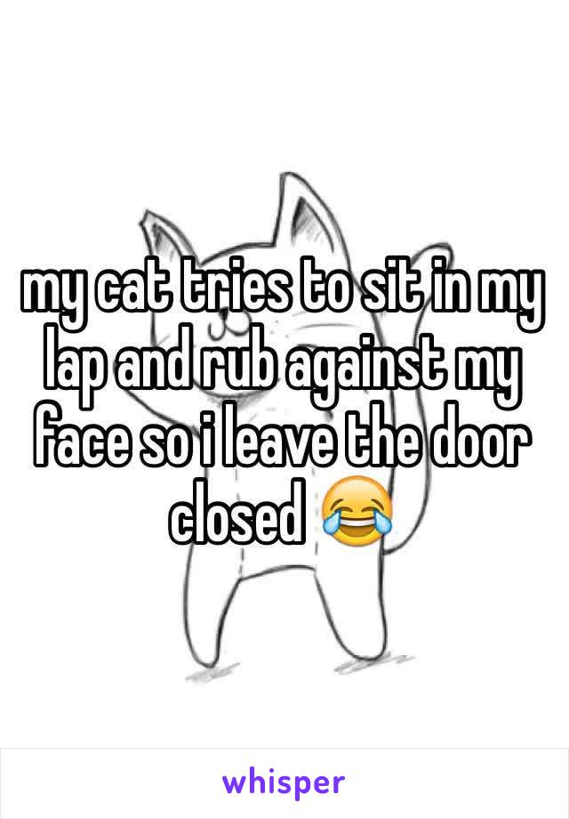 my cat tries to sit in my lap and rub against my face so i leave the door closed 😂
