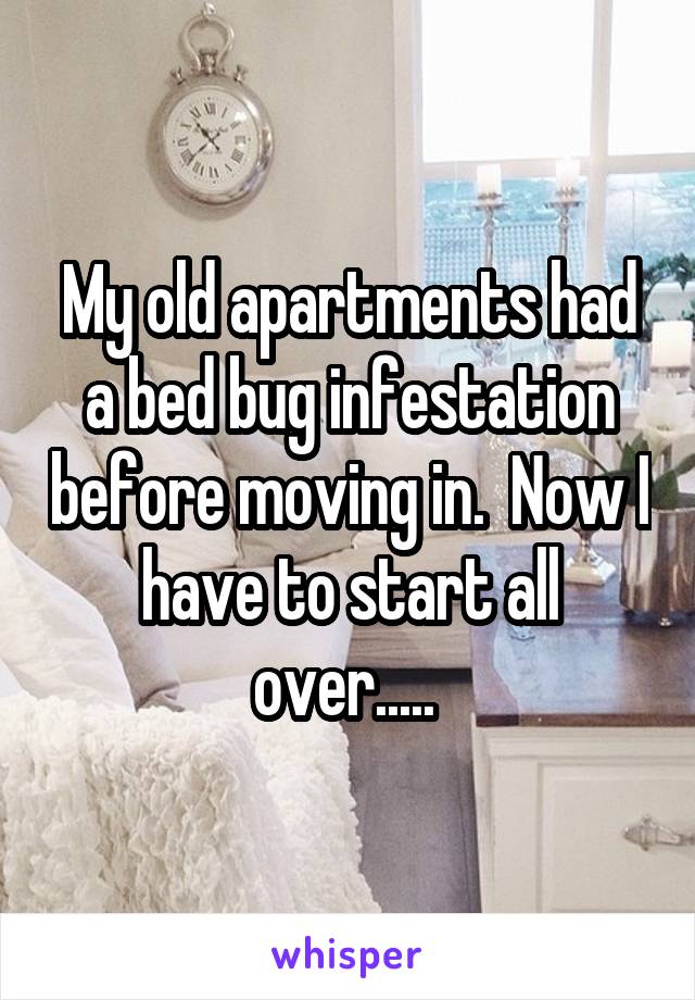 My old apartments had a bed bug infestation before moving in.  Now I have to start all over..... 