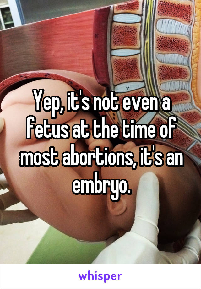 Yep, it's not even a fetus at the time of most abortions, it's an embryo.