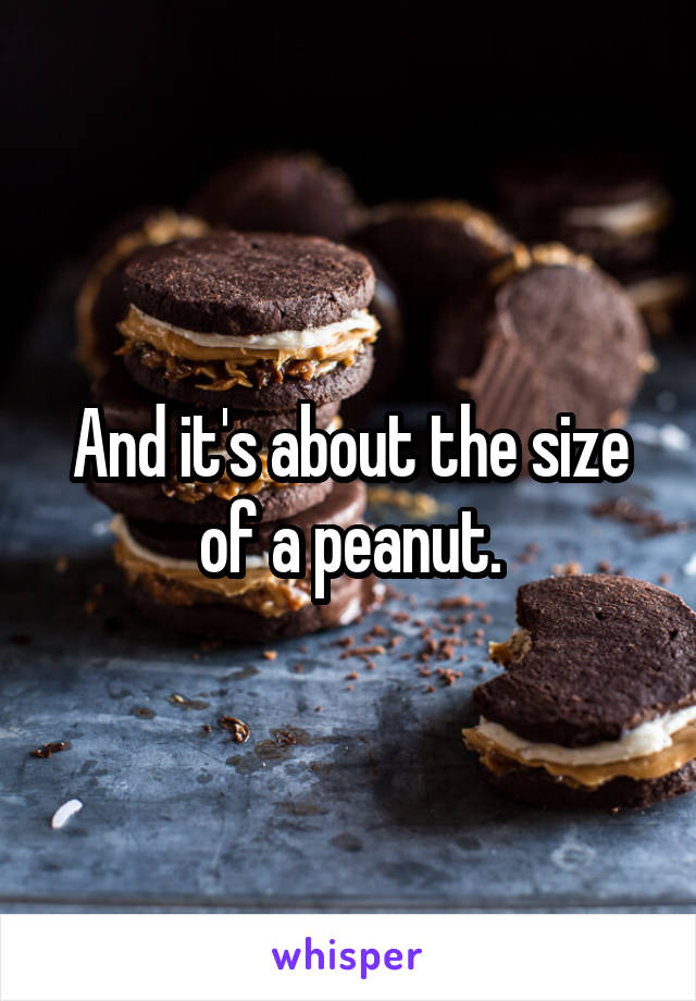 And it's about the size of a peanut.