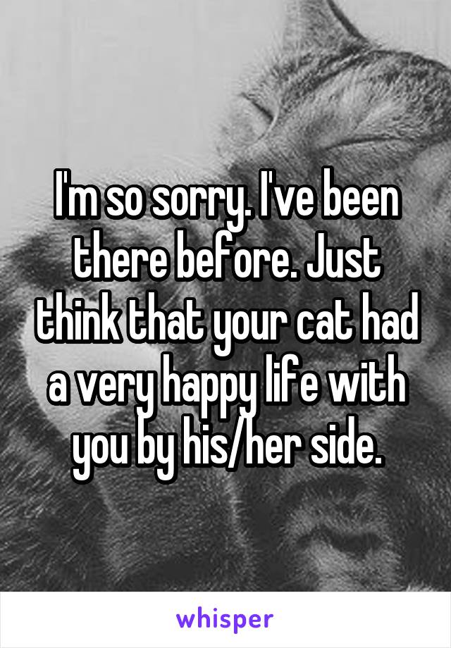 I'm so sorry. I've been there before. Just think that your cat had a very happy life with you by his/her side.