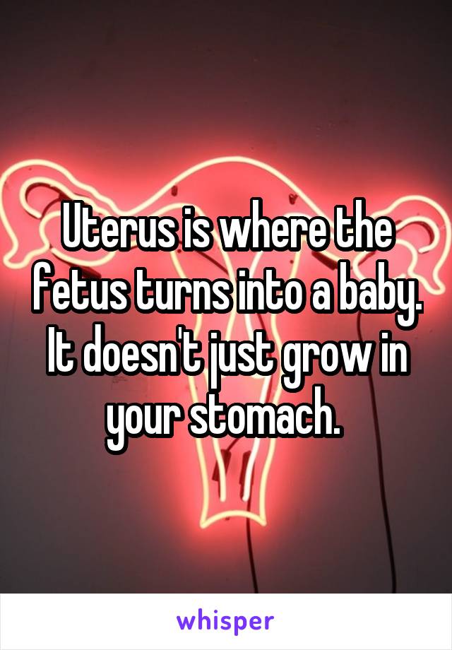 Uterus is where the fetus turns into a baby. It doesn't just grow in your stomach. 