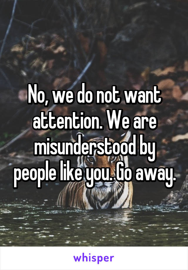 No, we do not want attention. We are misunderstood by people like you. Go away.